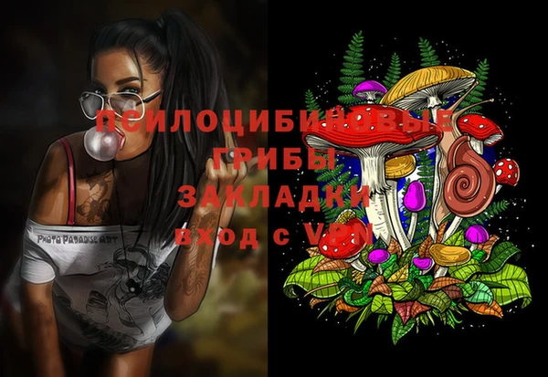 Альфа ПВП Абдулино