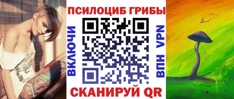 Псилоцибиновые грибы Psilocybine cubensis  купить наркотик  Вытегра 