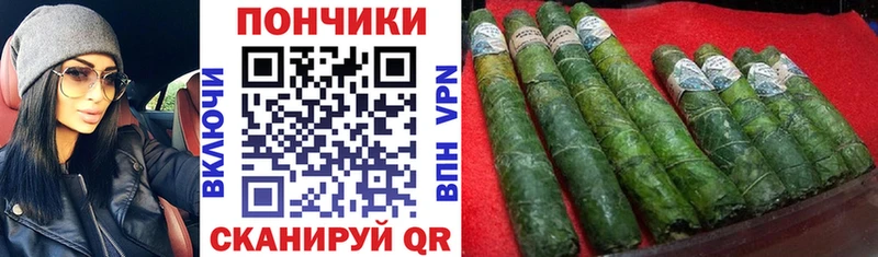 Бошки марихуана сатива как найти Вытегра